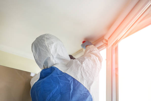 Biohazard Mold Removal in Merritt Island, FL